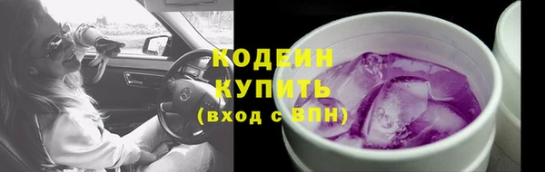 шишки Вязники