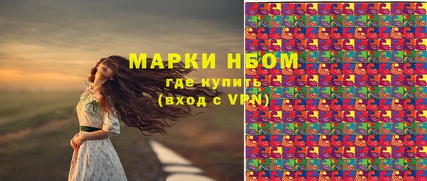 шишки Вязники
