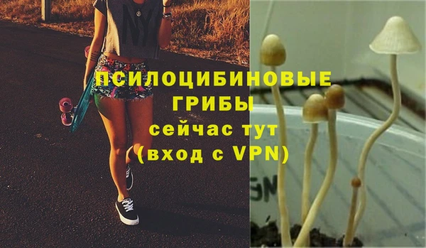 mdma Вязьма