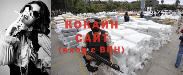 шишки Вязники