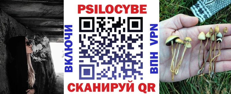 Галлюциногенные грибы Cubensis  Купить где  Троицк 